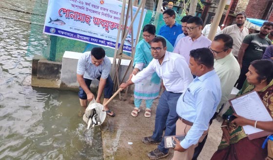 আশাশুনিতে ২৮টি জলাশয়ে পোনা মাছ অবমুক্ত