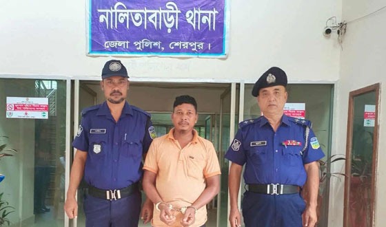 শিক্ষার্থী মায়মুনা হত্যার রহস্য উদঘাটন, আসামী আপন ফুফা