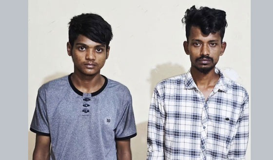 হোমনায় ইয়াবাসহ গ্রেপ্তার ২