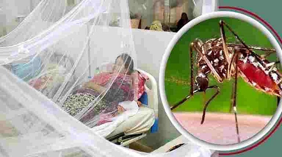 ডেঙ্গুতে আরও ৩ জনের মৃত্যু, হাসপাতালে আক্রান্তের ভীড়