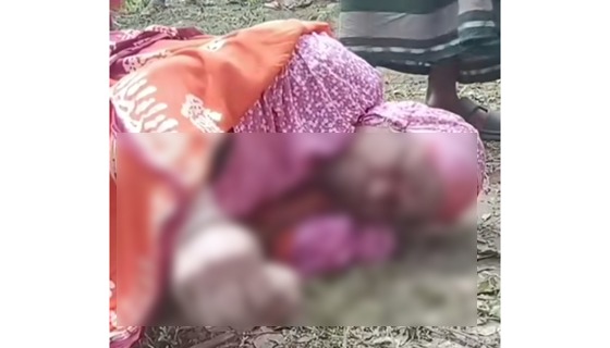 ভেড়ামারায় বৃদ্ধার হাত পা বাঁধা লাশ উদ্ধার