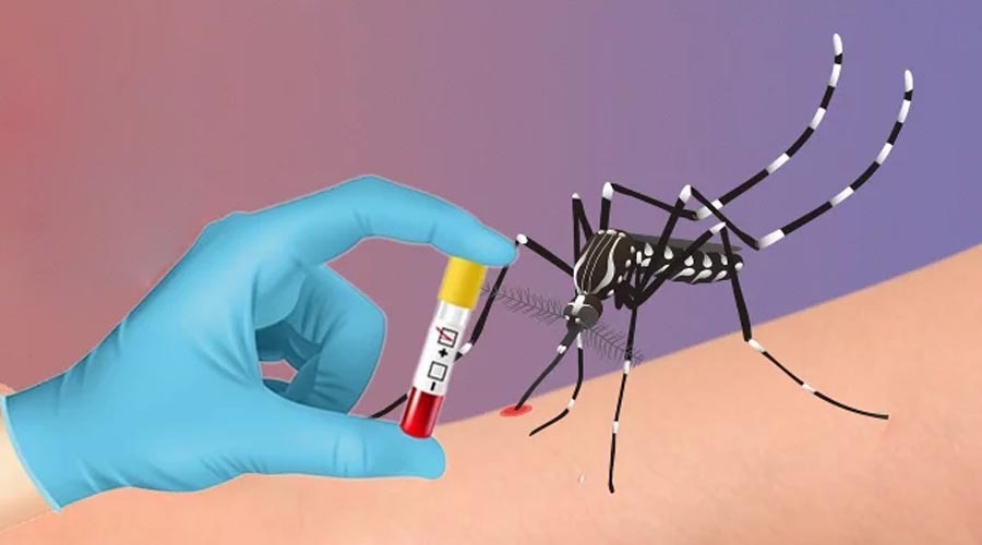 ডেঙ্গুতে আরও তিনজনের মৃত্যু, হাসপাতালে নতুন ভর্তি ৪১১