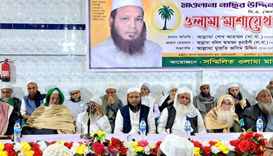 আমি জনগণের সেবক হতে চাই: মাওলানা নাছির উদ্দিন মুনির