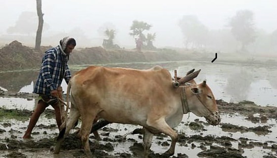 শীত মানেই গরিবের কষ্ট