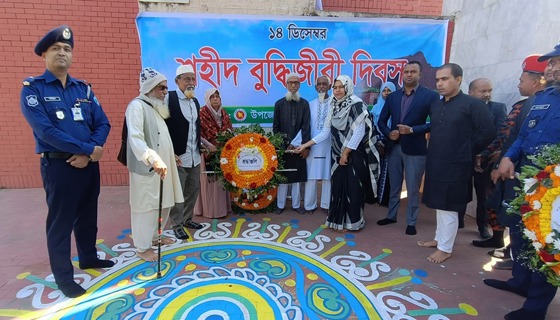 নাসিরনগরে শহীদ বুদ্ধিজীবী দিবস পালিত