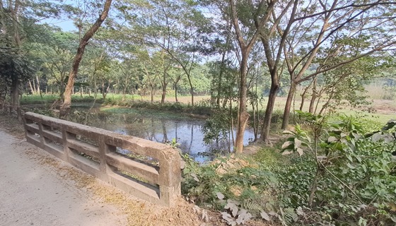 চাঁদপুরে সেচ প্রকল্পের সাড়ে ৩শ’ কিলোমিটার খাল বেদখল
