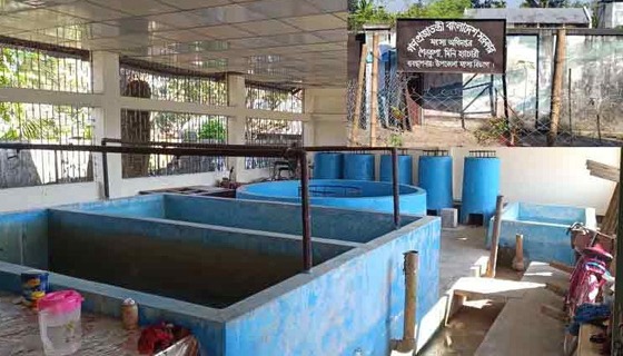 জনবল সংকটে ১০ বছর ধরে বন্ধ মৎস্য হ্যাচারী