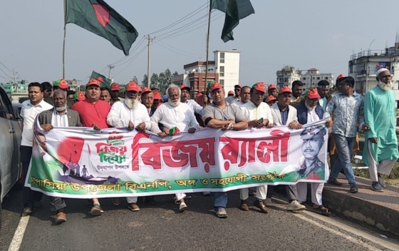 মহান বিজয় দিবস উপলক্ষে কাপাসিয়ায় বিএনপির শোভাযাত্রা