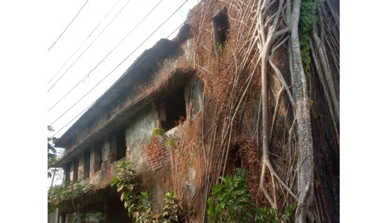 অর্ধশত বছরের পরিত্যাক্ত ভবনের ঝুঁকিতে আমতলী আদালতের ২০ হাজার বিচারপ্রার্থী