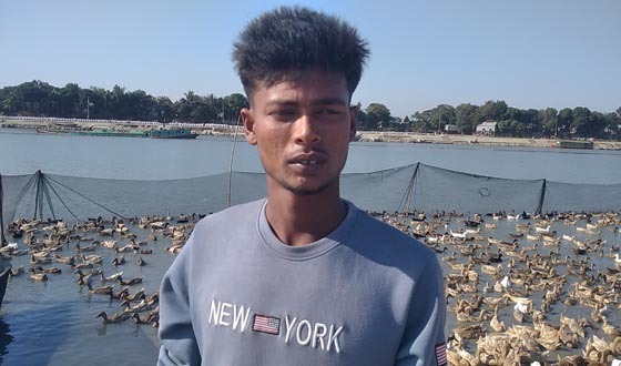 নিকলী হাওরে হাঁস পালন করে এক যুবক স্বাবলম্বী হওয়ার পথে