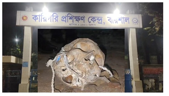 বরিশালে পুরনো কঙ্কাল উদ্ধার