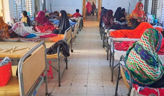 শেরপুরে তীব্র শীতে নাজেহাল জনজীবন, হাসপাতালে বাড়ছে রোগী