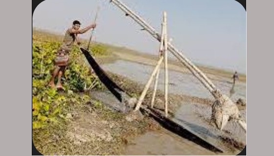 ঐতিহ্যের সাক্ষী কৃষকের আদি সেচযন্ত্র বা জাঁত দিয়ে জমিতে পানি সেচ