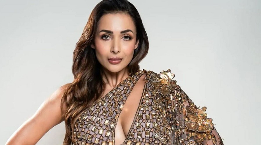 ফেলে আসা দিনগুলো নিয়ে স্মৃতিচারণ করলেন মালাইকা