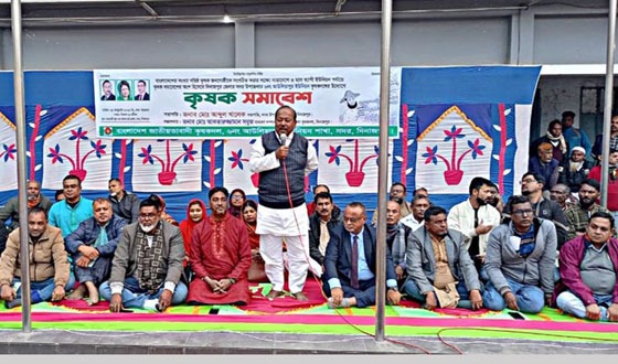 আউলিয়াপুর ইউনিয়ন কৃষক দলের সমাবেশ অনুষ্ঠিত