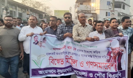 সুজানগরে বিএনপি নেতাকে কুপিয়ে আহত করার প্রতিবাদে বিক্ষোভ মিছিল সভা