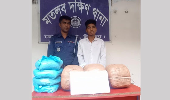 মতলবে ১৬ কেজি গাঁজাসহ আটক ১