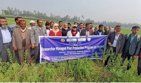 বগুড়ার গাবতলীতে কৃষক মাঠ দিবস পালন