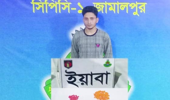শেরপুরে ইয়াবাসহ মাদক কারবারি আটক