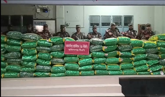 শেরপুর সীমান্তে ভারতীয় চোরাই জিরা জব্দ