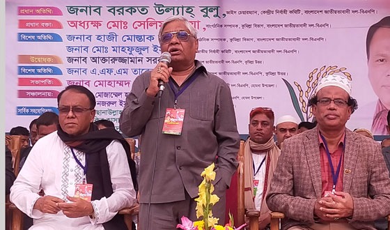 ২০ বছর পর হোমনা উপজেলা বিএনপির সম্মেলন অনুষ্ঠিত