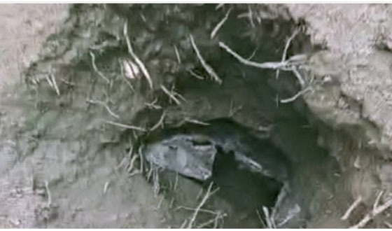 দৌলতখানে কবর থেকে কঙ্কাল চুরি