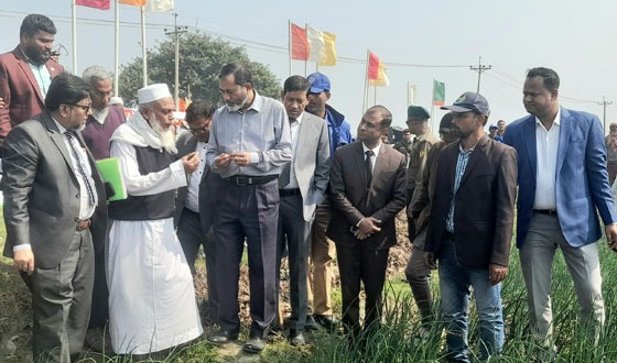 পেঁয়াজ চাষীদের সফলতা দেখতে বিভাগীয় কমিশনার সুজানগরে