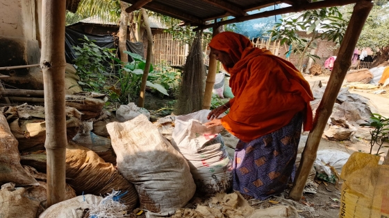 কেঁচো সারে ভাগ্য বদল তারা বিবির