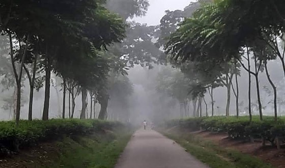 শ্রীমঙ্গলে দেশের সর্বনিম্ন তাপমাত্রা ৮.৫ ডিগ্রি রেকর্ড