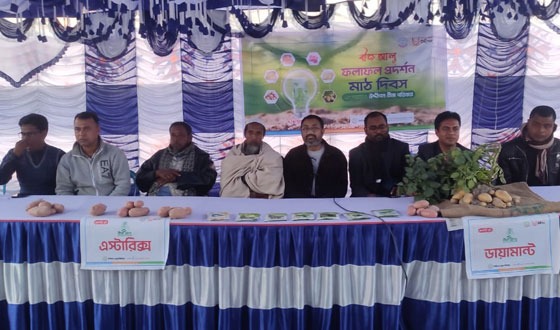 ক্ষেতলাল বীজ আলুর ফলাফল প্রদর্শন অনুষ্ঠিত