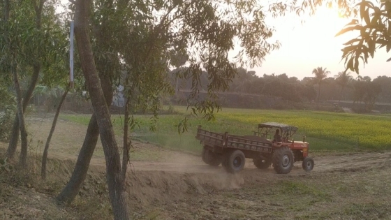 মোহনপুরে অভিযানের পর আবারও ফসলি জমিতে পুকুর খনন