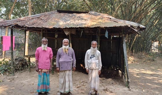 গাবতলীতে সন্ত্রাসী কায়দায় গাছকেটে জমি দখলের চেষ্টা