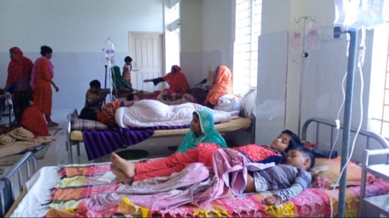 রাজশাহীতে পিকনিকের খাবার খেয়ে অসুস্থ অর্ধশতাধিক শিক্ষার্থী ও অভিভাবক