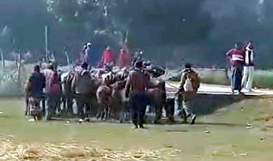 দৌলতপুরে যুবক হত্যার জেরে প্রতিপক্ষের ৪৬টি মহিষ লুট