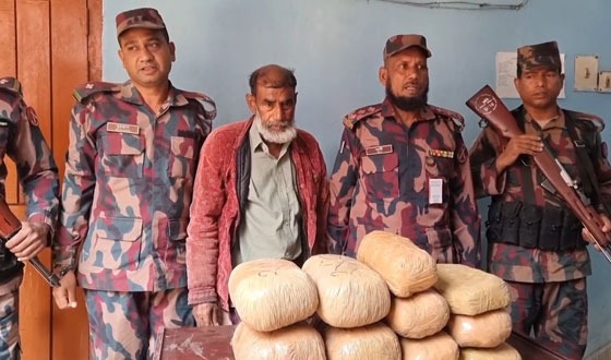 গাংনীতে ১৪ কেজি গাঁজাসহ আটক ১