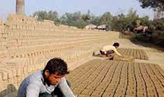 অবৈধ ইট ভাটা উচ্ছেদে উদ্যোগ নেই পরিবেশ অধিদপ্তর ও উপজেলা প্রশাসনের