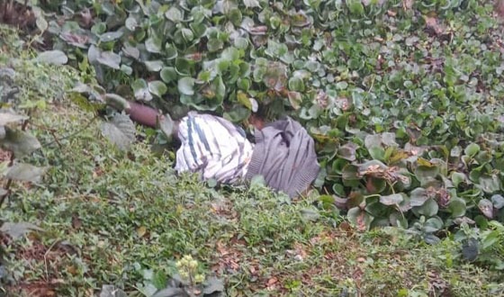 অটোভ্যান চালককে হত্যা করে ভ্যান ছিনতাই