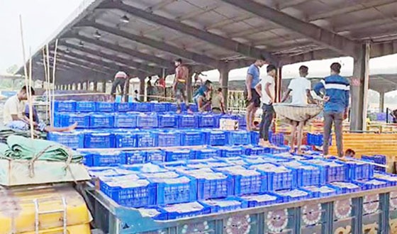 ট্রাকের চাকার স্লাবে শুল্ক আদায়: বেনাপোলে কমেছে আমদানি