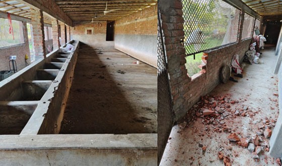 দৌলতপুরে পুলিশ সদস্যের বাড়িতে লুটপাট, ভাংচুর