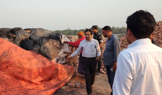 আশাশুনিতে পরিবেশ অধিদপ্তরের মোবাইল কোর্ট পরিচালনা
