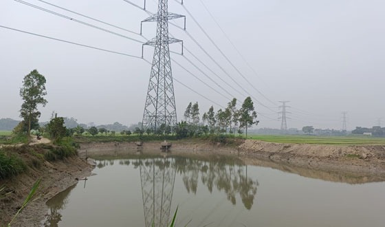 আ’লীগ নেতা ও ইউপি সদস্যর বিরুদ্ধে কৃষি জমি কেটে বালুমাটি বিক্রির অভিযোগ