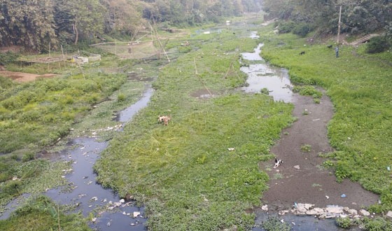 গ্রাস হচ্ছে বড়াল, ছড়াচ্ছে দুর্গন্ধ, দূষণ হচ্ছে পরিবেশ!