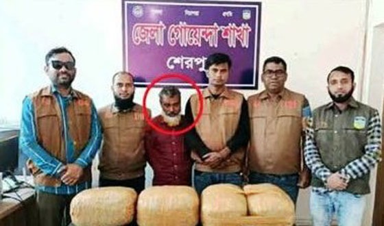 শেরপুরে  গাঁজাসহ  কারবারি আটক