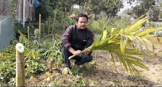 মহাদেবপুরে শত্রুতার জেরে তিনশ’ ফলন্ত গাছ কর্তন