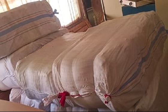 উপদেষ্টার সফর বাতিল, বিতরণ হয়নি শীতার্তদের কম্বল