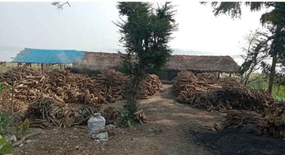 বরগুনায় অবৈধ ইট ভাটায় অভিযান