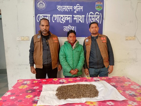 ডিবি পুলিশের অভিযানে মাদক ব্যবসায়ী আটক