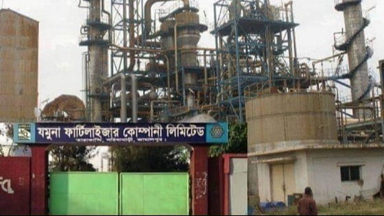 যমুনা সার কারখানা ১ বছর যাবত বন্ধ