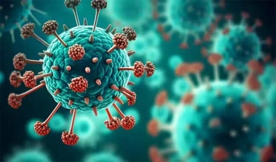 দেশে এইচএমপিভি ভাইরাস শনাক্ত