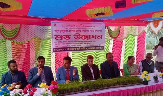 কালিয়ায় রাইস ট্রান্সপ্লান্টার মেশিনের মাধ্যমে ধানের চারা রোপন, উদ্বোধন